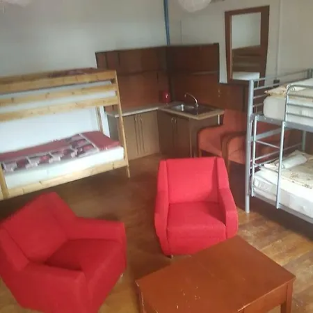 Frantic Monkey I Orjongo Majom Ostello